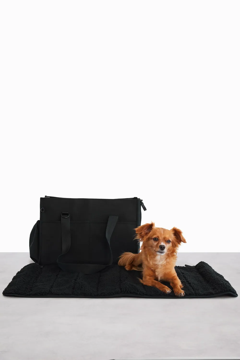 Beis Everyday Pet Tote borsa animali nero con tasca laptop