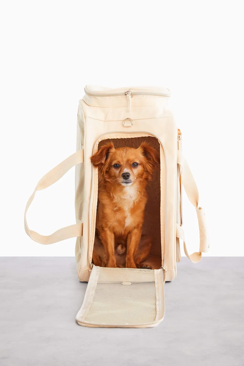 Beis Regulation trasportino animali beige cane