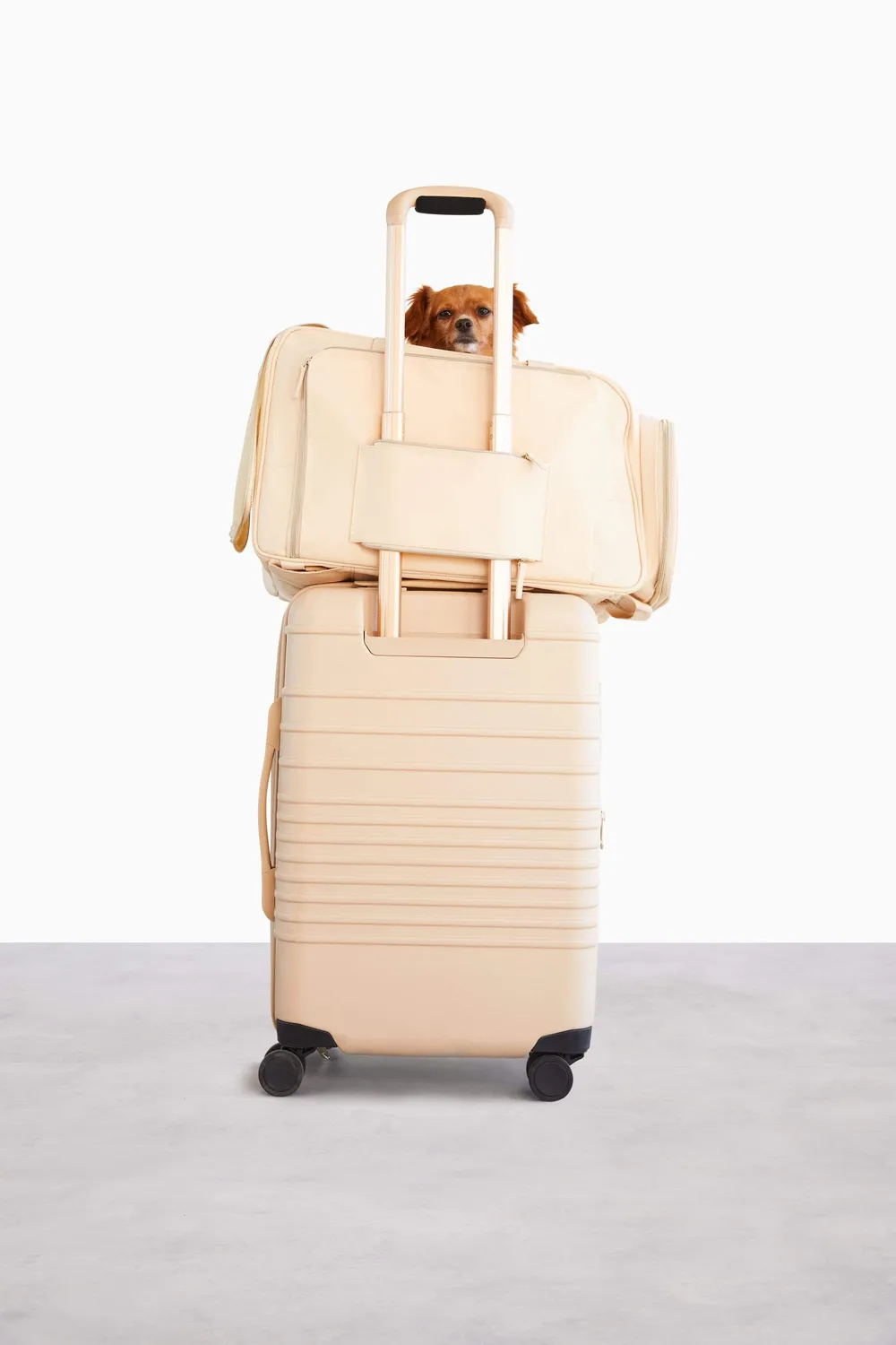 Beis Regulation trasportino animali beige cane