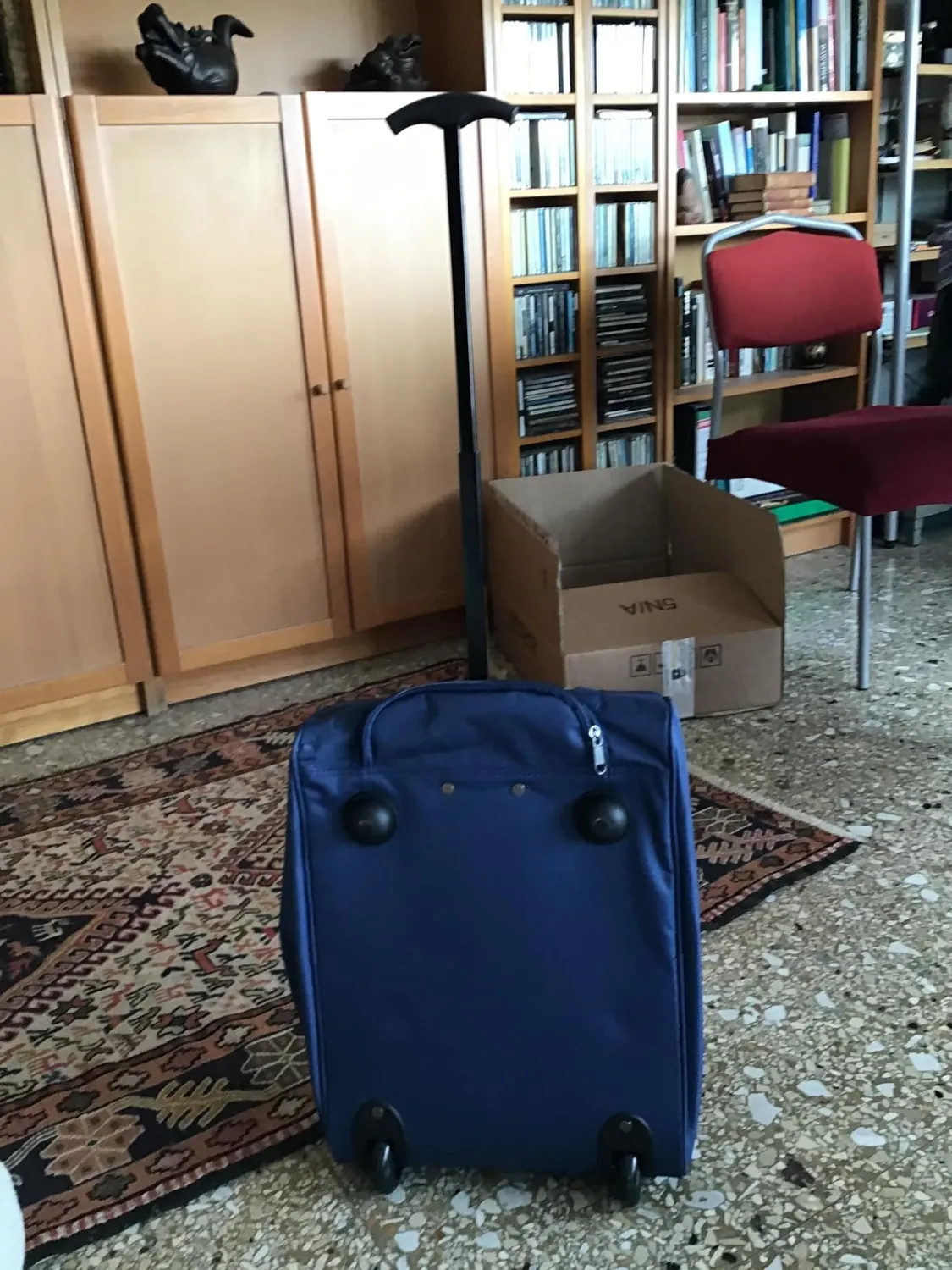 Provitera trolley frigo blu 30x20x50 cm termico