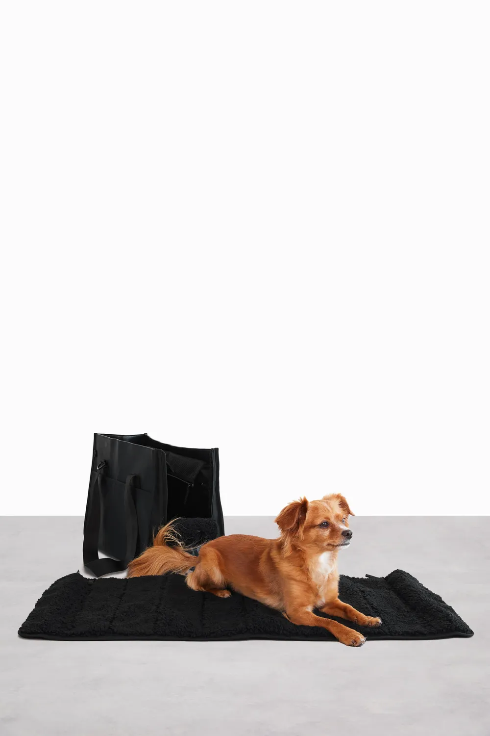 Beis Everyday Pet Tote borsa animali nero con tasca laptop