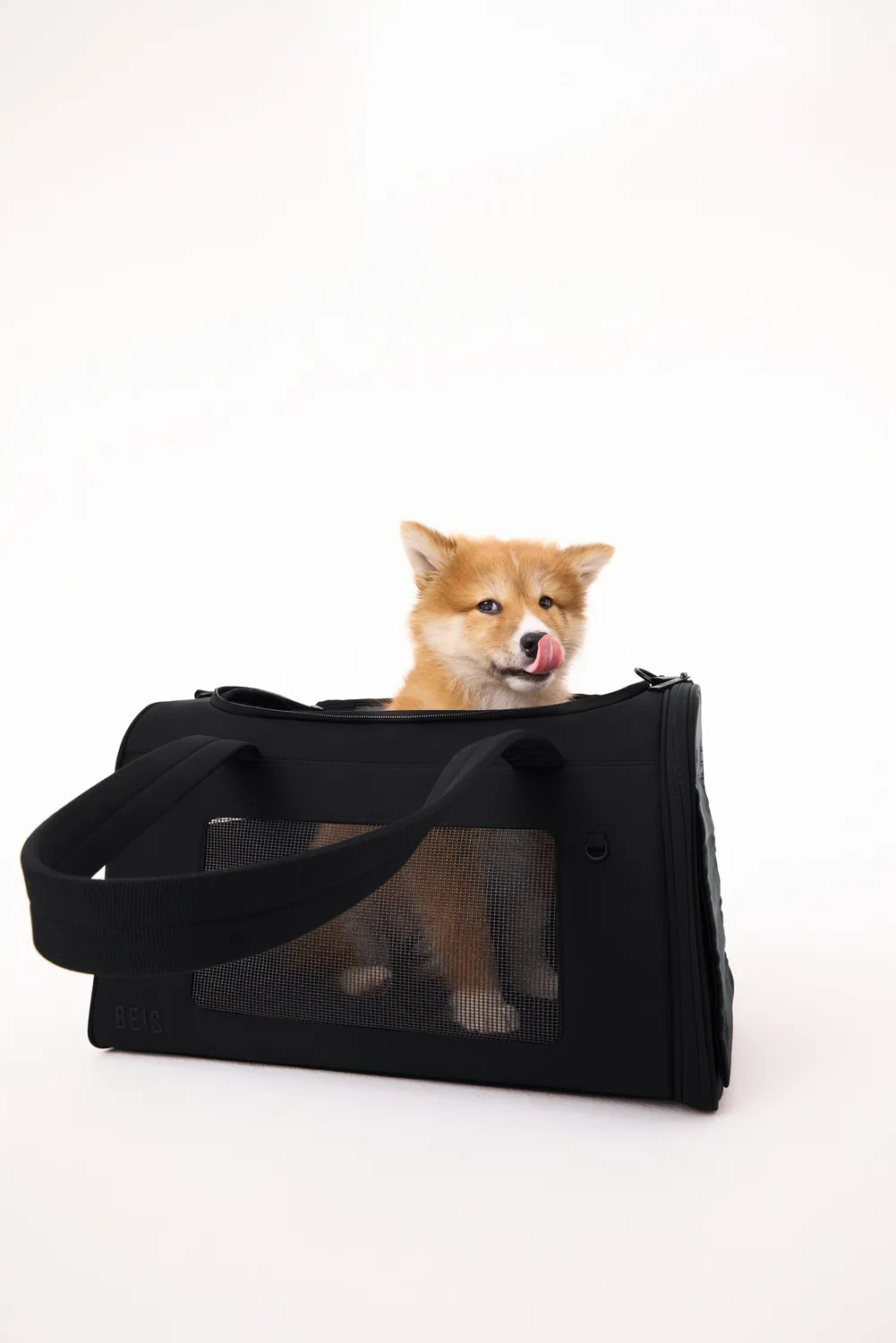 Beis The Pet Carrier trasportino nero omologato cabina