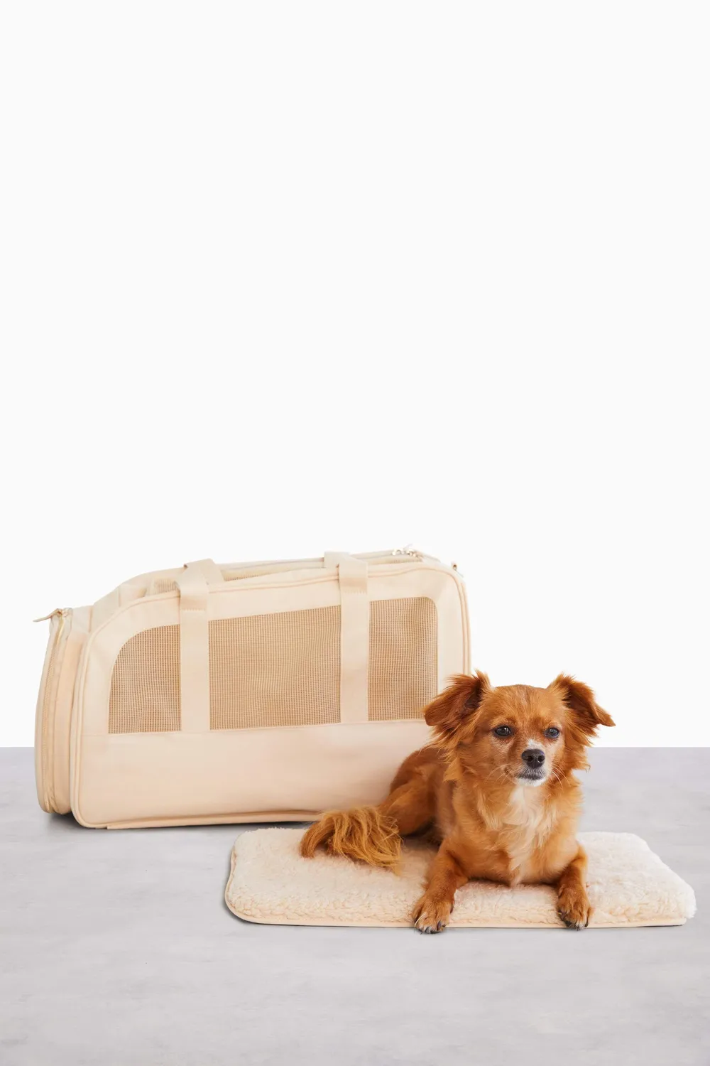 Beis Regulation trasportino animali beige cane