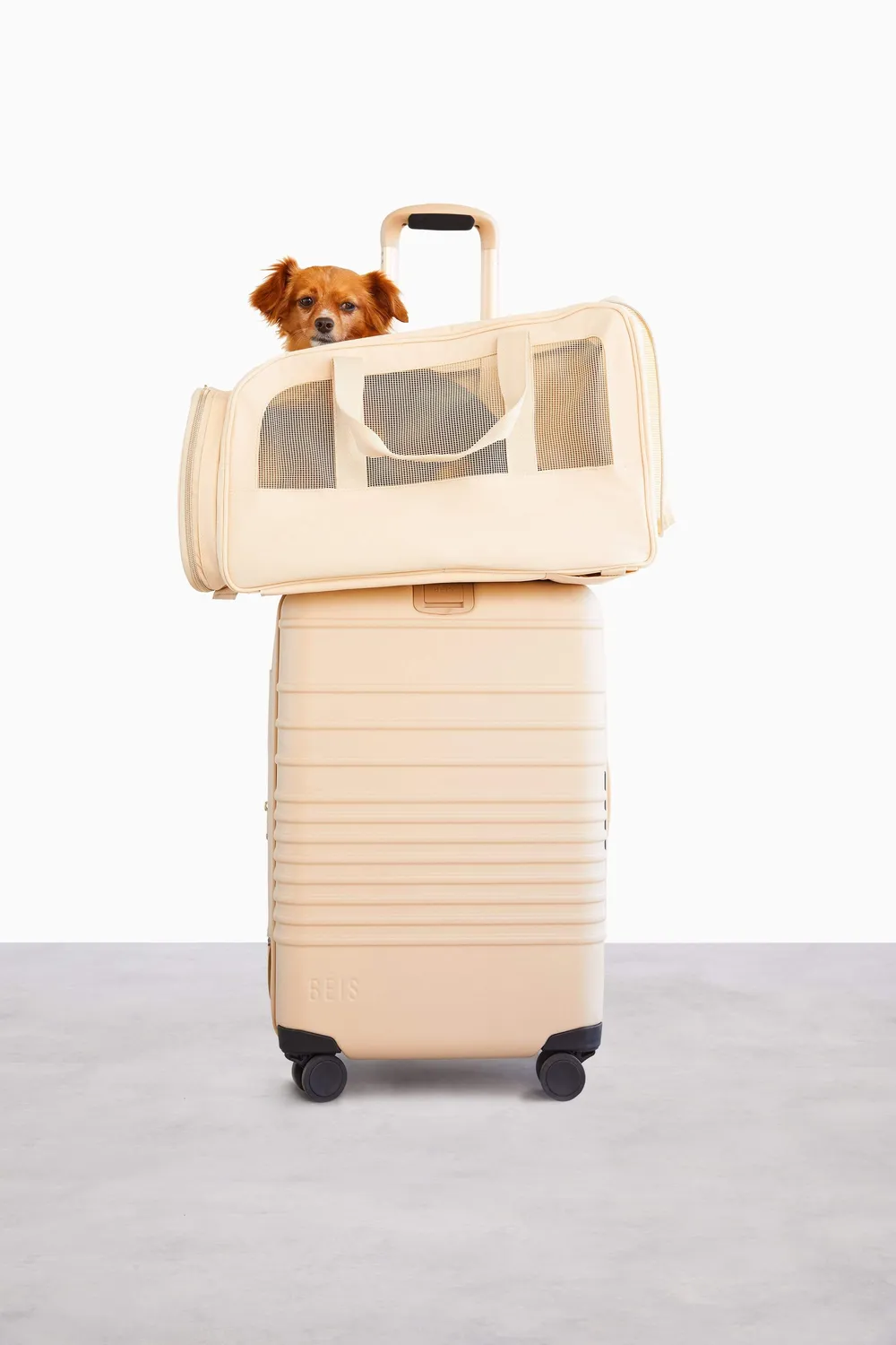 Beis Regulation trasportino animali beige cane