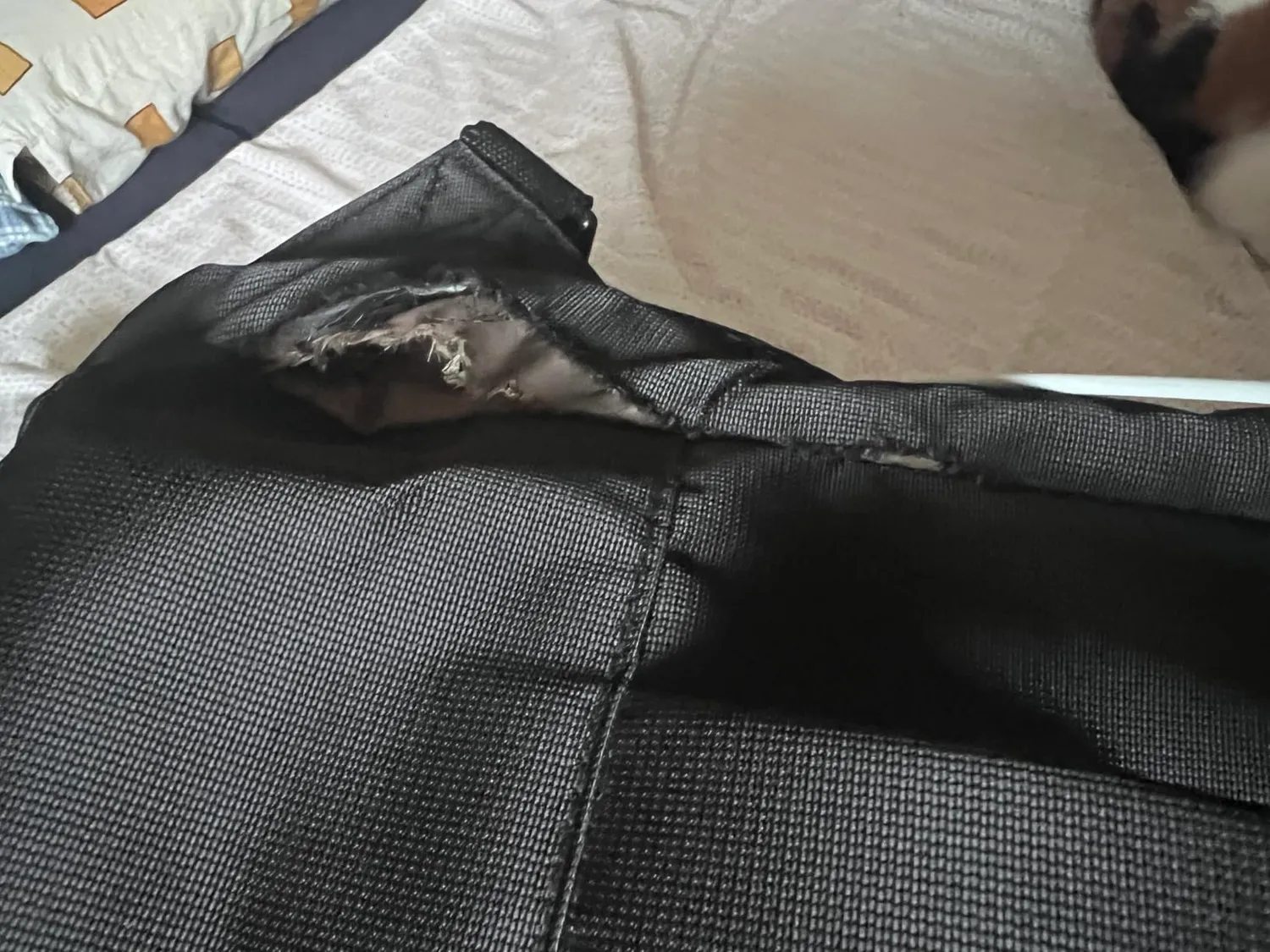 Roncato Speed Ryanair Zaino da Viaggio Lavanda 20 L 40cm